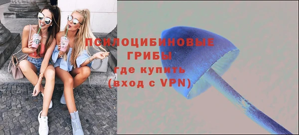 бошки Покровск