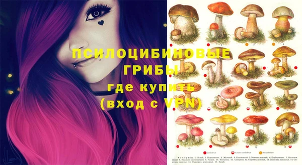 шишки Пролетарск