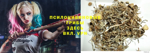 прущая мука Тавда