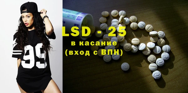 прущие грибы Гвардейск