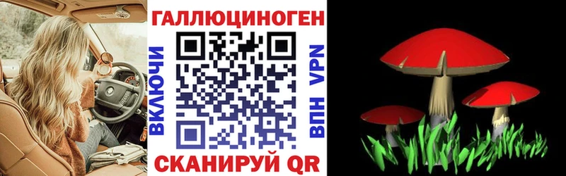 hydra вход  Ак-Довурак  Псилоцибиновые грибы Magic Shrooms 
